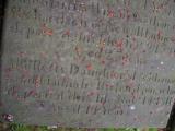 image of grave number 141510